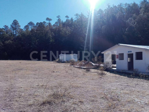 Terreno En Venta Cahuisori Mpio De Ocampo, Chihuahua.