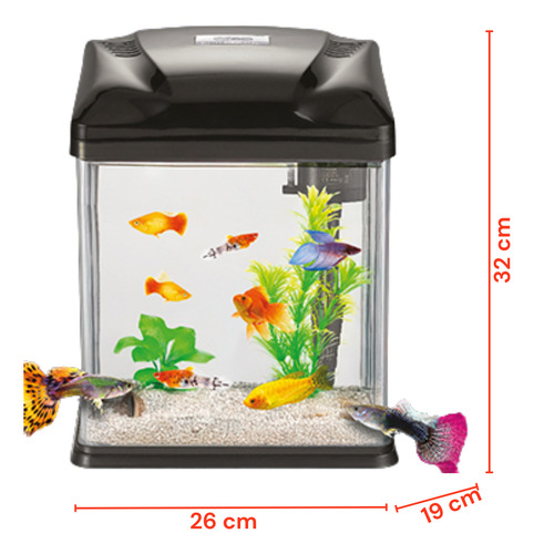 Kit Nano Acuario Con Luz Led 10 Lt Pecera Lomas