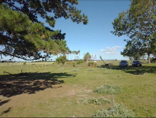 Imagen 7 de 15 de Venta,de Importante Campo En Roberto. J. Payro, Partido De Magdalena.