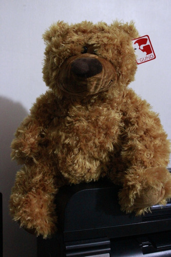 Peluche Oso Gund  De 40cm Comprado En Usa Original Cja46