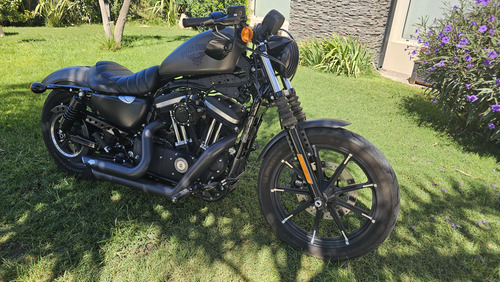 Harley Davidson Iron 883
