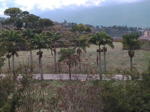 Imagen 2 de 6 de Venta De Dos Parcelas De Dos Puestos En Cementerio Del Este