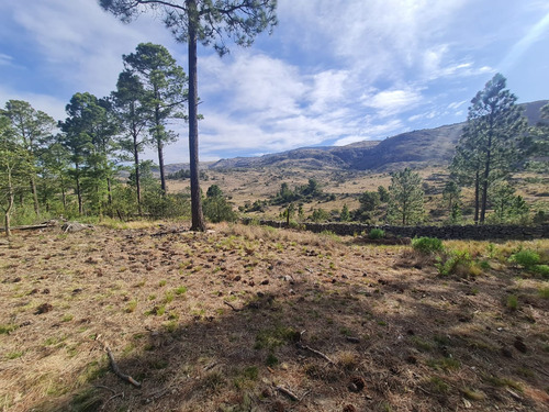 Lotes En Venta San Clemente Desde 1 Ha