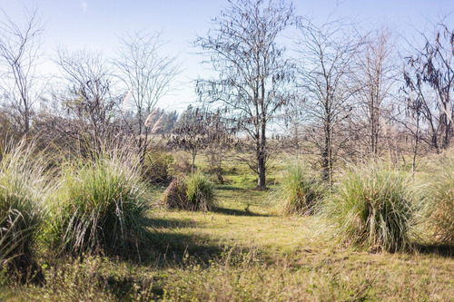 Campo En Venta En Pilar. Zona Champagnat