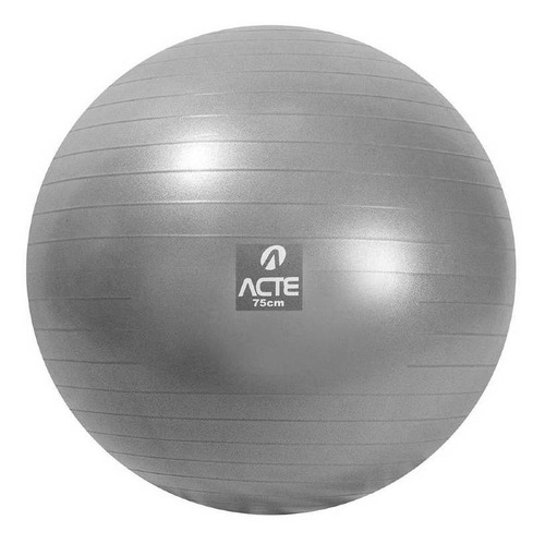 Bola Pilates 75cm Cinza Com Bomba De Ar - Acte