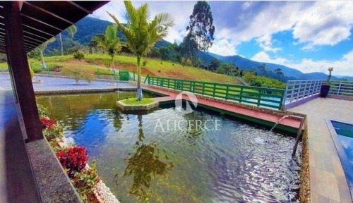 Imagem 2 de 30 de Linda Chácara Em Águas Mornas Com 3 Hectares - Ch0005