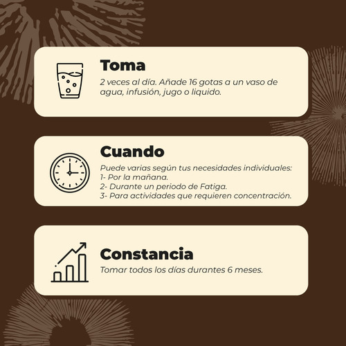 Pack Doble Concentrado Melena De Leon Gotas 60ml Karun Life