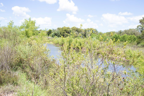 Venta Campo 20 Has