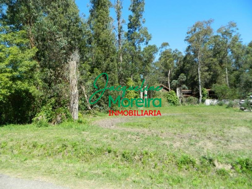 Terrenos Venta - T101418