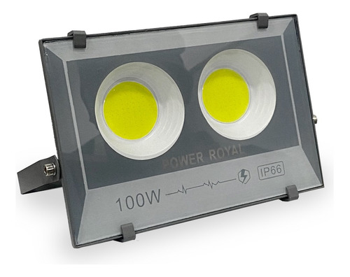 Reflector Led L-ip66 100w