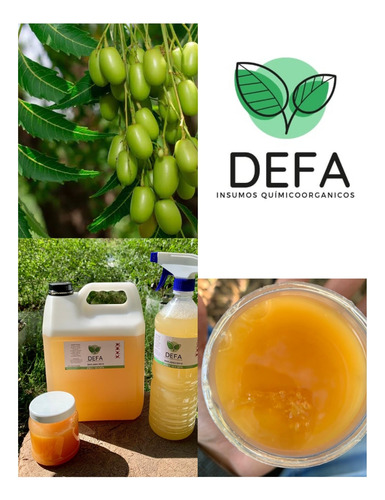 1lt Jabón Potasico Con Aceite De Neem Con Atomizador