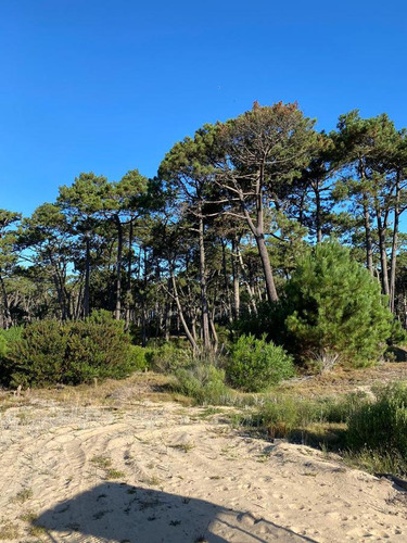 Terreno - Punta Del Este