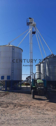 Imagen 20 de 22 de Granja Modelo Productora Huevos Venta Automatizada Baradero, Campo 4hts