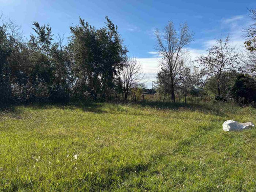 Quinta En Venta En Bragado