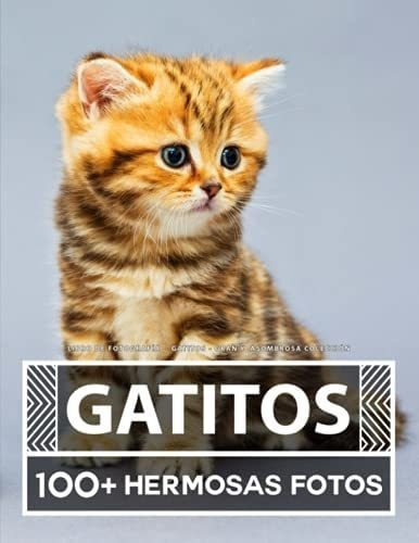 Libro: Libro De Fotografía Gatitos Gran Y Asombrosa 100 En Y