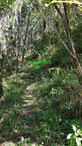 Imagem 13 de 19 de Juquitiba/terreno Com Mata E Nascente. - 05000 - 68089597