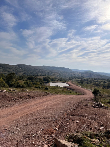 Chacras De 5 Hectáreas En Las Sierras De Aiguá, Maldonado