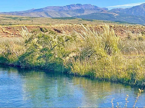 Terreno En Venta - 1.651mts2 - San Martín De Los Andes, Neuquén