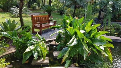 Chácara Alto Padrão Para Aluguel/locação, Bom Jardim, Jundiaí - Ch00070 - 69028370