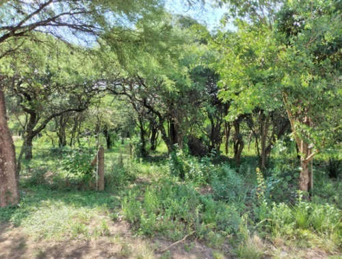 Imagen 1 de 2 de Hermoso Terreno De 778m2 Muy Próximo A Ruta 5