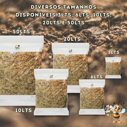 Musgo Sphagnum 20lts Para Orquídeas, Suculentas E Jardinagem