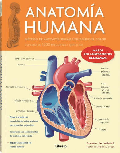 Anatomia Humana - Ashwell, Ken