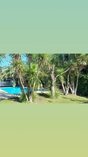 Quinta Alquiler En 20 De Junio