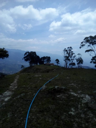 Imagen 18 de 20 de Finca En Casa Via El Padre De 45 Hectáreas