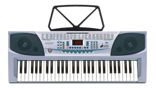 Teclado Organo Electronico Musical Instrumento 54 Teclas Color Gris 110V/220V