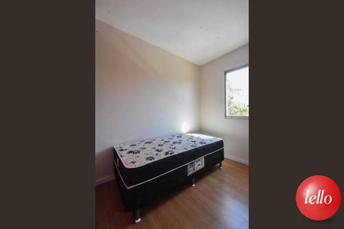 Apartamento - Ref: 213237