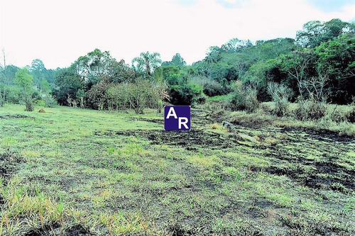 Imagem 12 de 30 de Terreno 4800 Para Construção De Condomínio Residencial Praticamente Plano - Te00035 - 70326088