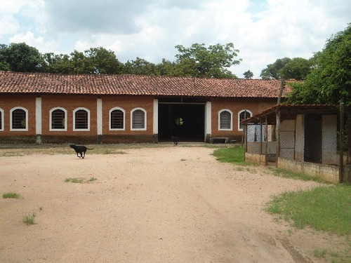 Imagem 22 de 30 de Vendo Área Na Estiva Em Louveira Com 150 Mil M². - Ar00006 - 2586566