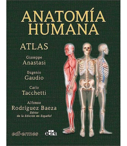 Vol Ii Anatomia Humana Atlas Interactivo Multimedia, Segu, De Anastasi, Giuseppe. Editorial Ediermes, Tapa Blanda En Español