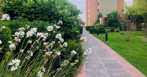 Business Center / Carretera El Cobre