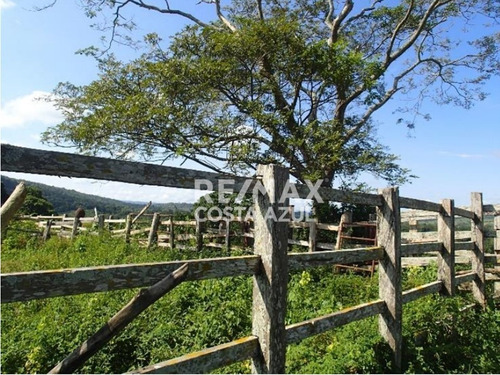 Remax Vende Finca De 80 Hectáreas A Desarrollar Precio De Oportunidad, Sector Riecito, Estado Falcon.