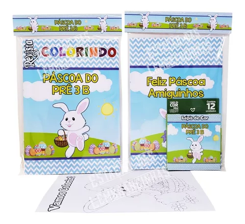 Kit 10 Livrinho para colorir Pokemon Revistinha de colorir Lembrancinha  personalizada Festa infantil Atividades para Pintar (Capa Tipo 2)