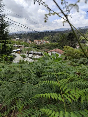 Venta Lote En Guarne
