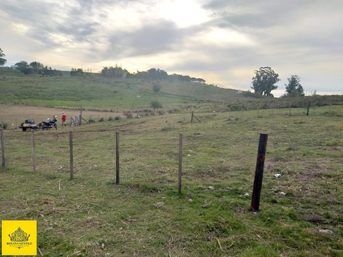 Imagen 2 de 5 de ¡vendo Excelentes Fracciones! Excepcional Vista A 10 Minutos Del Centro De Tandil