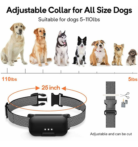 Collar De Adiestramiento Para Perros Con Control Remoto Eléc