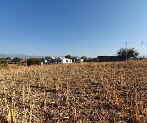 En Yecapixtla Terreno En Venta Zona Con El Mejor Clima