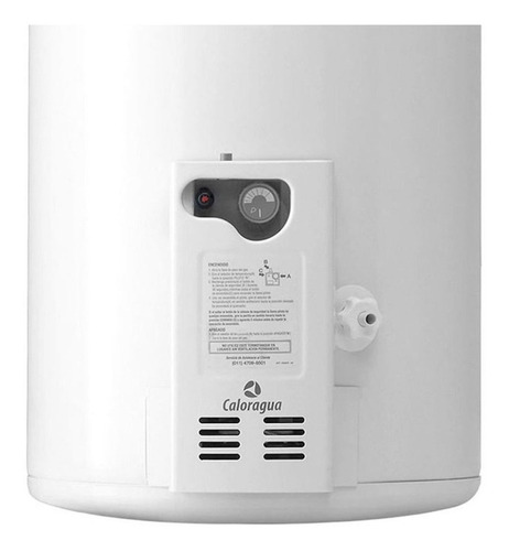 Imagen 3 de 3 de Termotanque multigas Longvie Convencional T3150F blanco 150L