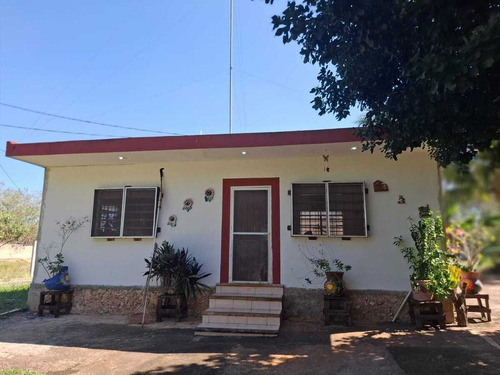 Venta Amplio Terreno De 6000 M2 Tahdzibichen, Merida, Yucatan.