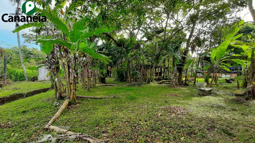 Imagem 14 de 25 de Ótimo Terreno Com 1.150,00 M² No Jardim Candairó - Cananéia - Litoral Sul De Sp - Te00087 - 70424942