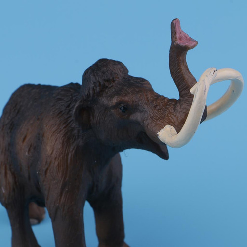 Modelo De Animal Juguete Educativo Juguetes Juegos Primera