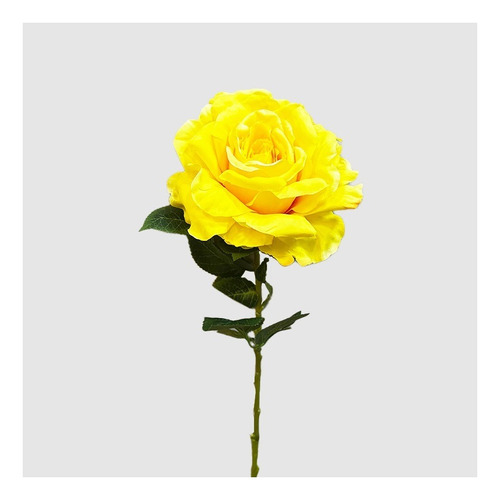 Rosa 70cm Amarilla