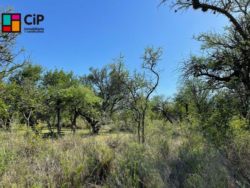 Lote En Venta En Cortaderas