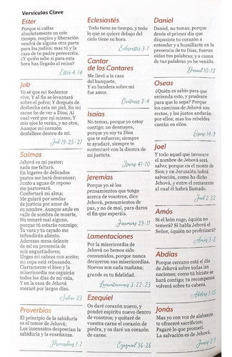 Imagen 8 de 10 de Biblia Reina Valera 1960 Letra Grande Manual Cierre Arcoiris