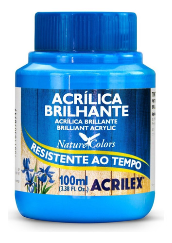 Tinta Acrilica Brilhante 100ml - Cores Cor Azul Celeste 503