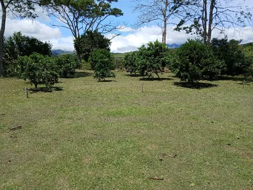 Vendo Finca Ganadera En Restrepo Valle