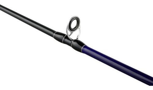 Vara De Pesca Profissional Carretilha Inteiriça 1,68m 20lb Cor Preto